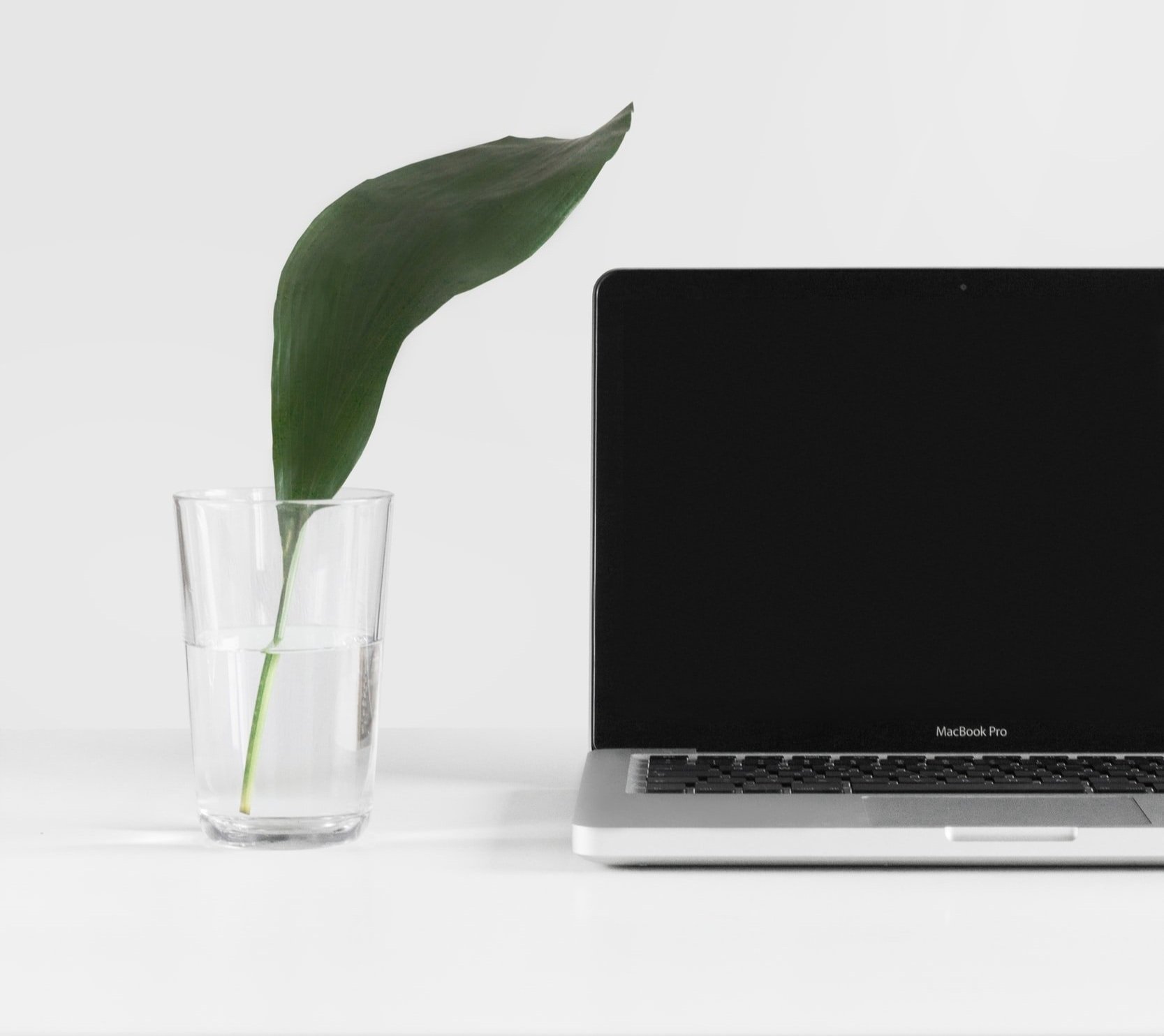 Titre de l'article 2